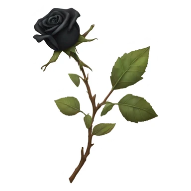 Dried out black rose sticker