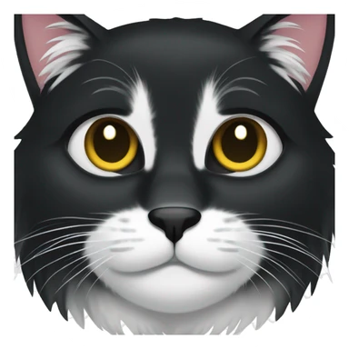 black cat long hair cat with black and white muzzle sticker