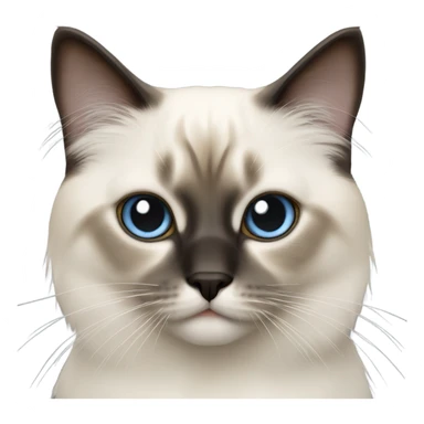 Birman cat sticker