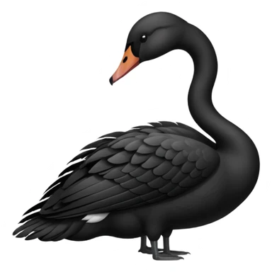 Black swan facing left sticker