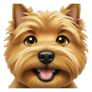 Norwich terrier  sticker