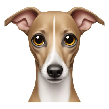 Italian greyhound sticker