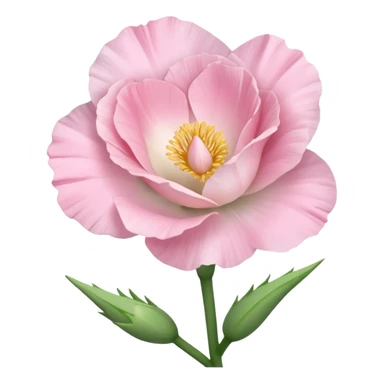 a Beautiful light pink flower Eustoma sticker
