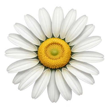 White daisy sticker