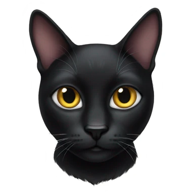 Black cat sticker