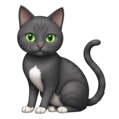 beautiful female solid dark grey cat with green eyes, white toes/paws and white patch on her chest playing sticker