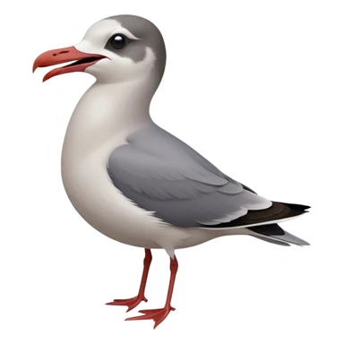 Laughing Gull sticker