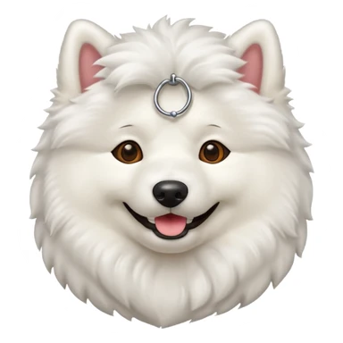 Samoyed sticker