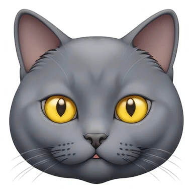 fat Russian blue cat yellow eyes sticker