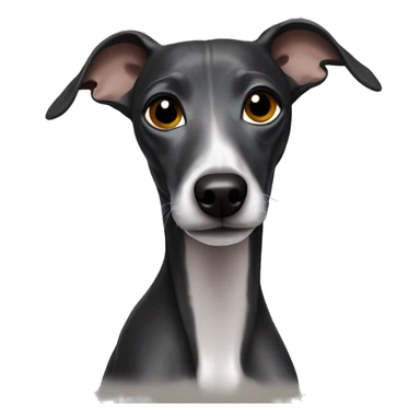 Black Italian greyhound sticker