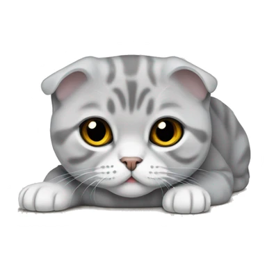 Silver Scottish fold laying sticker