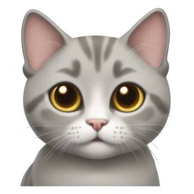 Gray munchkin cat  sticker
