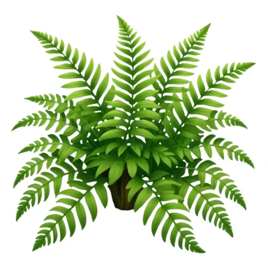 A cluster of soft green ferns growing under shaded trees.









































 sticker