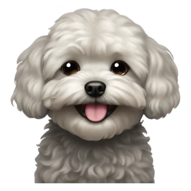 Black maltipoo eyes closed laughing  sticker