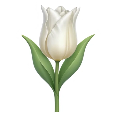 white tulip, elegant, no text sticker