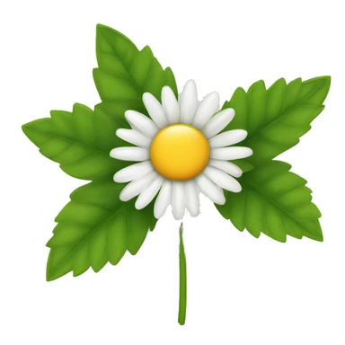 Single daisy flower with leaves and stem sticker