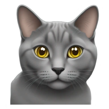 Chartreux cat  sticker