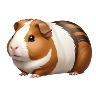 Cinematic Noble Brown and White Banded Guinea Pig Portrait Emoji, Poised and regal, with a compact, chubby build and a uniquely patterned coat of warm brown and crisp white banding, deep-set soulful dark eyes, Simplified yet sharp and sophisticated features, highly detailed, glowing with a soft, dignified glow, high shine, intelligent and charming, stylized with an air of distinctive elegance, focused and attentive, soft glowing outline, capturing the essence of a watchful and confident companion, so majestic it feels as though it could scurry out of the screen with effortless authority! sticker