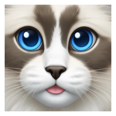 Bicolour ragdoll with blue eyes  sticker