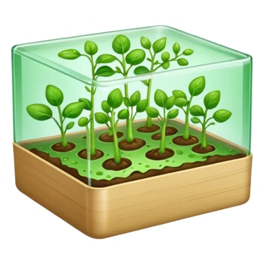 aromatic sprouts in a flat thin transparent box the base is almost invisible sticker