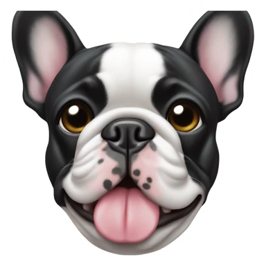 Black and white French bulldog with one eye  sticker