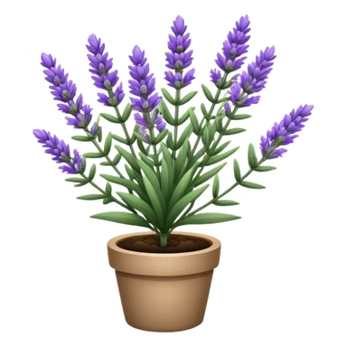 lavender plant  sticker