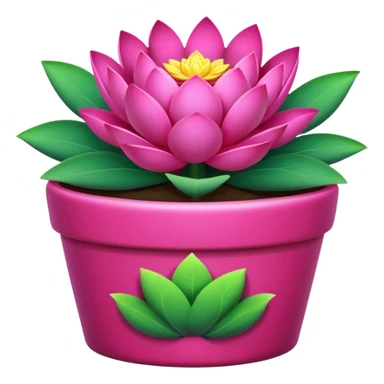 Decorative fuchsia-colored flower pot with a lotus flower plant; the pot is shallow sticker