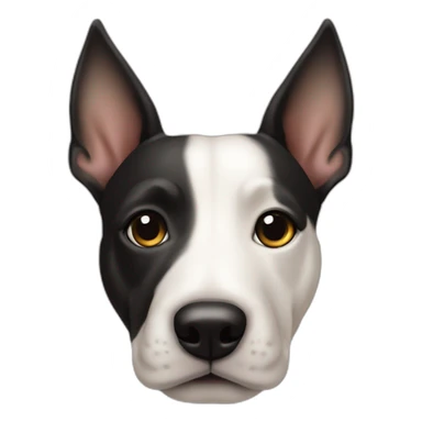 chien-bull-terrier-avec-une-tache-noire-sur-l-'-oeil- sticker