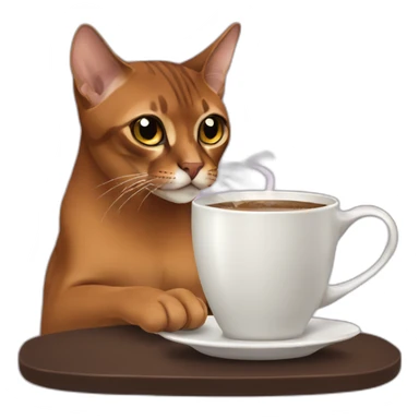 Abyssinian cat drinking coffe sticker