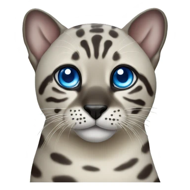 Seal bengal with Blue eyes sticker