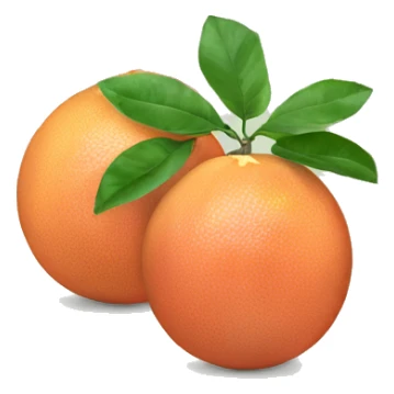 Two Grapefruit’s with leaves sticker