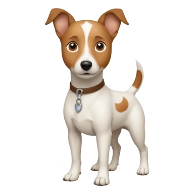 a full body white jack russel looking dog the size of a kelpie with light brown ears and a light brown patch on one eye and a large snout sticker