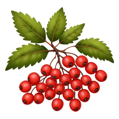 rowan/mountain ash berries, simple sticker