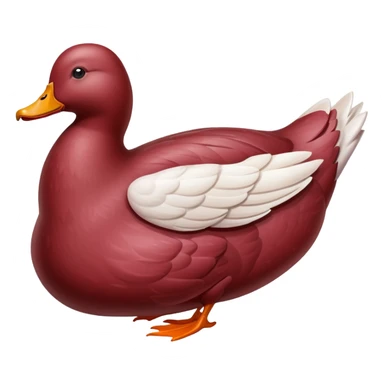 Whole duck meat raw sticker