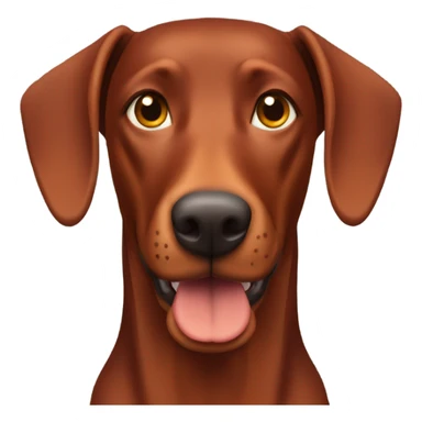 Red Doberman without cropped ears face facing front happy expression  sticker