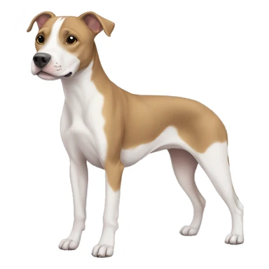 half pitbull half whippet sticker