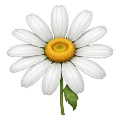 daisy blossom with white petals sticker