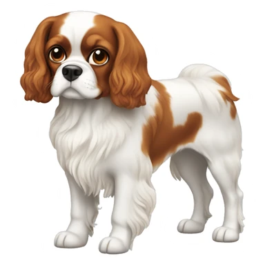 cavalier dog white and ginger sticker