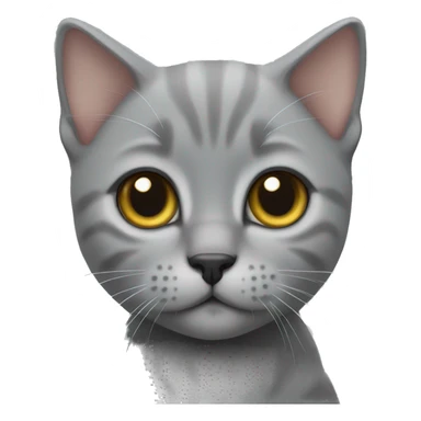 grey British kitten  sticker