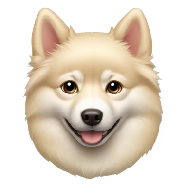 Cream colored pomsky sticker