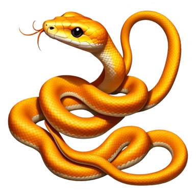 Sunglow Boa Snake sticker