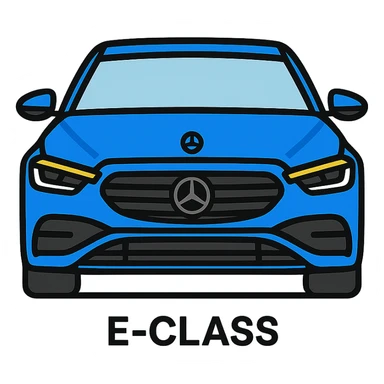 Mercedes-Benz E-Class W214 sticker