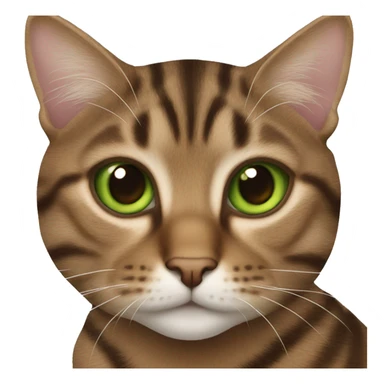 Brown tabby cat green eyes sticker