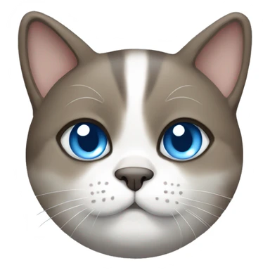 chubby blue-eyed brown grey white cat sticker