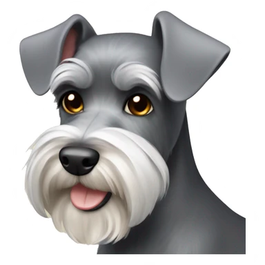miniature schnauzer  sticker