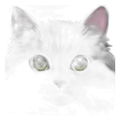 fluffy dark grey cat with pink nose, green eyes and white long whiskers, near the nose there are white spots sticker