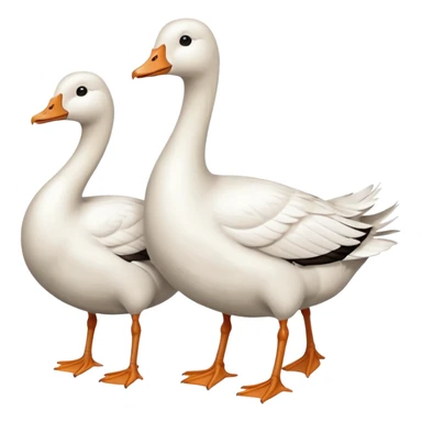 Mix these 🪿👨‍🦽 without the man sticker