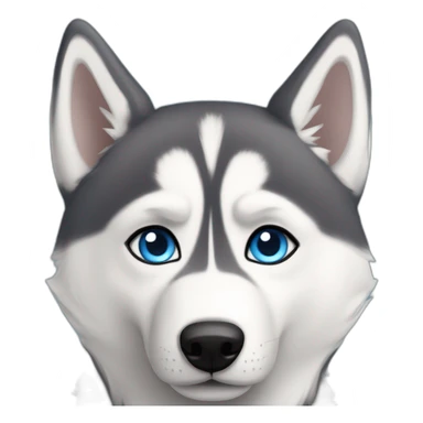 Husky au yeux bleu sticker