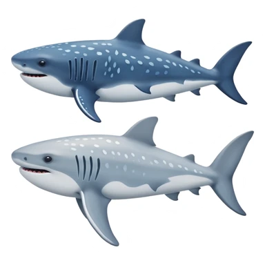 Whale Shark And Beluga Whale sticker