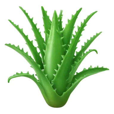 aloe vera sticker